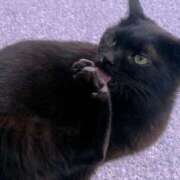 ヒメ日記 2024/12/23 13:15 投稿 りく Second Love（セカンドラブ）