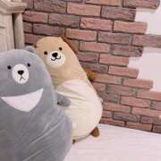 ヒメ日記 2025/01/12 22:00 投稿 りく Second Love（セカンドラブ）