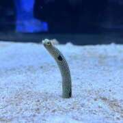 ヒメ日記 2025/02/10 13:00 投稿 りく Second Love（セカンドラブ）