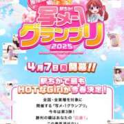 ヒメ日記 2025/04/12 07:47 投稿 ゆりあ 横浜風俗　寝取られたいオンナ達…生