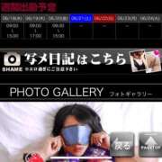 ヒメ日記 2025/06/18 05:18 投稿 ゆりあ 横浜風俗　寝取られたいオンナ達…生