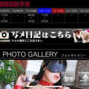 ヒメ日記 2025/10/08 06:12 投稿 ゆりあ 横浜風俗　寝取られたいオンナ達…生