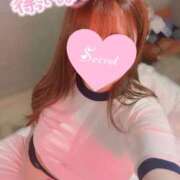 ヒメ日記 2024/12/30 15:04 投稿 ももな ぽっちゃり巨乳専門木更津君津ちゃんこin千葉