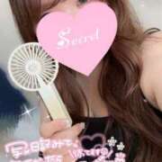 ヒメ日記 2025/08/03 14:00 投稿 ももな ぽっちゃり巨乳専門木更津君津ちゃんこin千葉