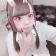 ヒメ日記 2024/12/17 21:28 投稿 ホマレ あいらぶゆー