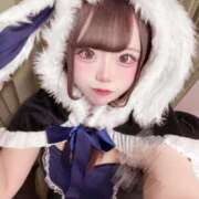 ヒメ日記 2024/12/20 22:17 投稿 ホマレ あいらぶゆー