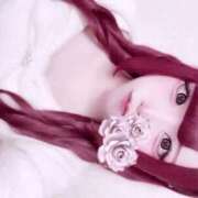 ヒメ日記 2024/12/28 10:58 投稿 ホマレ あいらぶゆー