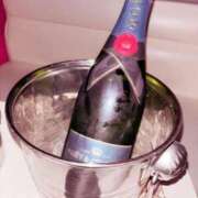 ヒメ日記 2025/01/18 16:48 投稿 ホマレ あいらぶゆー