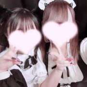 ヒメ日記 2025/02/17 20:28 投稿 ホマレ あいらぶゆー