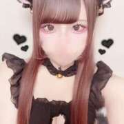 ヒメ日記 2025/02/22 16:28 投稿 ホマレ あいらぶゆー