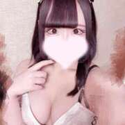 ヒメ日記 2025/03/18 14:28 投稿 ホマレ あいらぶゆー