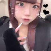 ヒメ日記 2025/04/15 08:58 投稿 ホマレ あいらぶゆー