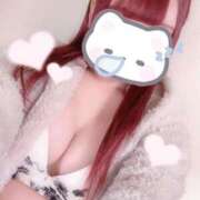 ヒメ日記 2025/04/17 20:08 投稿 ホマレ あいらぶゆー