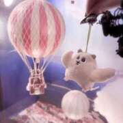 ヒメ日記 2025/06/23 12:30 投稿 ホマレ あいらぶゆー