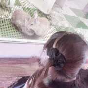 ヒメ日記 2025/06/30 15:29 投稿 ホマレ あいらぶゆー