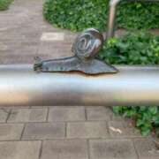 ヒメ日記 2025/05/18 14:17 投稿 いろは 完熟ばなな 立川