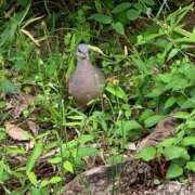 ヒメ日記 2025/05/24 13:37 投稿 いろは 完熟ばなな 立川