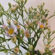 ヒメ日記 2025/09/01 17:08 投稿 いろは 完熟ばなな 立川