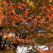 ヒメ日記 2025/11/03 19:47 投稿 いろは 完熟ばなな 立川