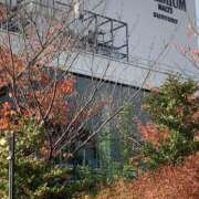 いろは こんにちは☀️ 完熟ばなな 立川