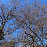 いろは こんにちは🍓 完熟ばなな 立川