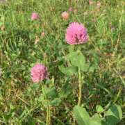 ヒメ日記 2025/07/09 21:49 投稿 いろは 完熟ばなな八王子