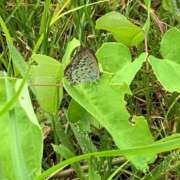 ヒメ日記 2025/07/16 12:49 投稿 いろは 完熟ばなな八王子