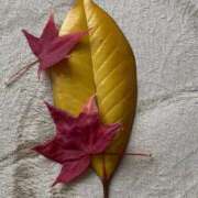 ヒメ日記 2025/11/11 09:39 投稿 いろは 完熟ばなな八王子