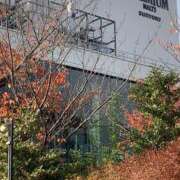 ヒメ日記 2025/11/24 10:49 投稿 いろは 完熟ばなな八王子