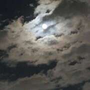 ヒメ日記 2025/12/07 12:59 投稿 いろは 完熟ばなな八王子