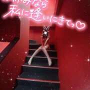 ヒメ日記 2025/02/11 14:04 投稿 ツキ バニーコレクション新潟店