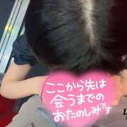 ヒメ日記 2025/02/15 19:01 投稿 ツキ バニーコレクション新潟店