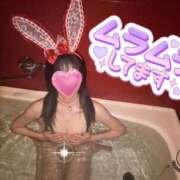 ヒメ日記 2025/05/17 20:39 投稿 ツキ バニーコレクション新潟店