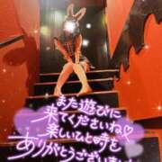 ヒメ日記 2025/05/18 19:59 投稿 ツキ バニーコレクション新潟店