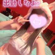 ヒメ日記 2026/03/14 16:51 投稿 ツキ バニーコレクション新潟店