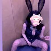 ヒメ日記 2026/03/16 02:32 投稿 ツキ バニーコレクション新潟店