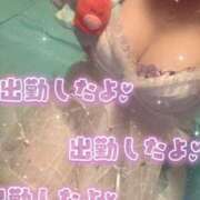 ヒメ日記 2026/03/16 08:55 投稿 ツキ バニーコレクション新潟店