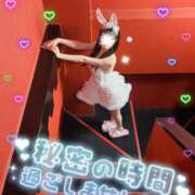 ツキ 出る？もっともっと我慢して…❤️ バニーコレクション新潟店