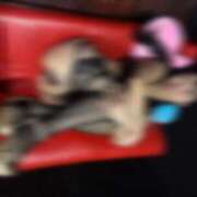 ヒメ日記 2026/04/18 09:07 投稿 葵まり 西川口風俗ド淫乱ンド