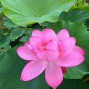 ヒメ日記 2025/04/14 12:58 投稿 ゆうな 熟女の風俗最終章 高崎店