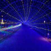 ヒメ日記 2025/11/17 19:48 投稿 ゆうな 熟女の風俗最終章 高崎店