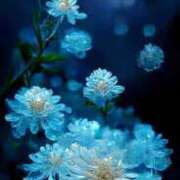 ヒメ日記 2025/11/28 17:08 投稿 ゆうな 熟女の風俗最終章 高崎店