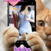 ヒメ日記 2025/04/30 12:37 投稿 京本一花 超LEXUS