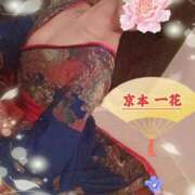 ヒメ日記 2025/10/12 22:11 投稿 京本一花 超LEXUS