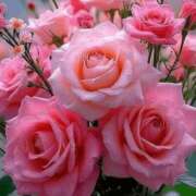 ヒメ日記 2025/03/31 00:51 投稿 遠藤 優里 超LEXUS