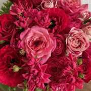 ヒメ日記 2025/04/02 17:11 投稿 遠藤 優里 超LEXUS