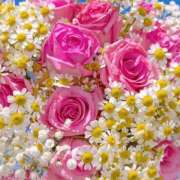 ヒメ日記 2025/04/03 17:02 投稿 遠藤 優里 超LEXUS