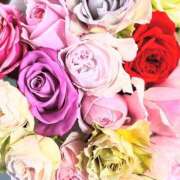 ヒメ日記 2025/04/06 17:02 投稿 遠藤 優里 超LEXUS