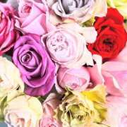 ヒメ日記 2025/04/07 01:41 投稿 遠藤 優里 超LEXUS