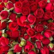 ヒメ日記 2025/04/09 17:02 投稿 遠藤 優里 超LEXUS